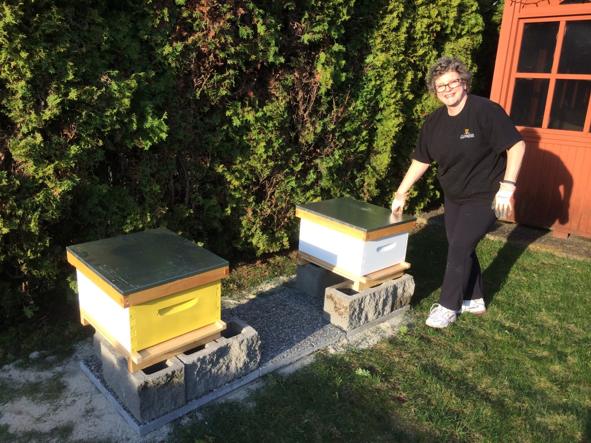 The hives are ready, now we just need the bees.